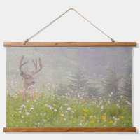 Deer Buck | Mount Rainier National Park