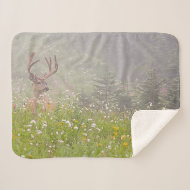 Deer Buck | Mount Rainier National Park Sherpa Blanket (Front (Horizontal))