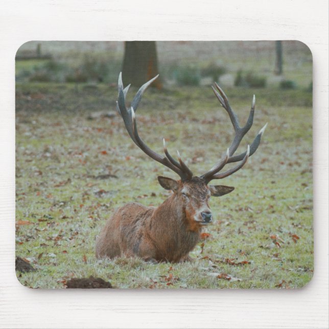 Deer buck Mousepad (Front)