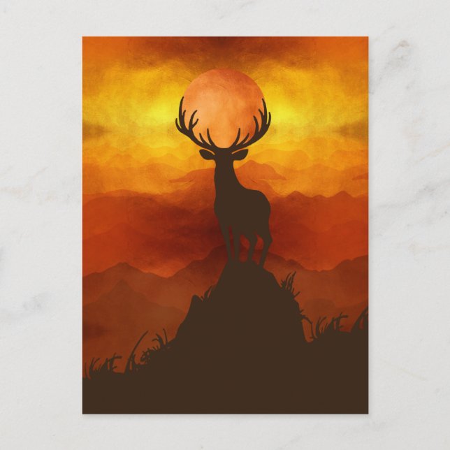 Deer Buck on top of Mountain with sunset Postcard (Front)