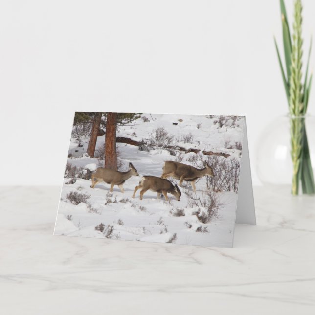 Deer Card (Front)