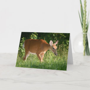 Deer Card