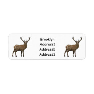 Deer cartoon illustration return address label