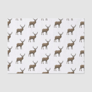 Deer cartoon illustration tissue paper