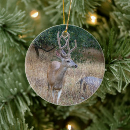 Deer Christmas Ornament
