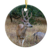 Deer Christmas Ornament