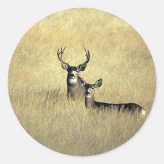 Deer Classic Round Sticker