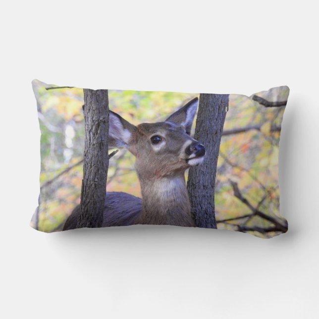 Deer Close-Up  Lumbar Cushion (Back)