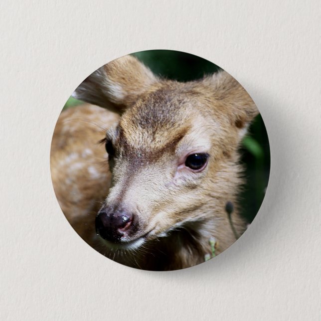 Deer Closeup 6 Cm Round Badge (Front)