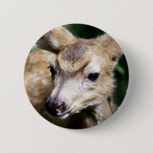 Deer Closeup 6 Cm Round Badge