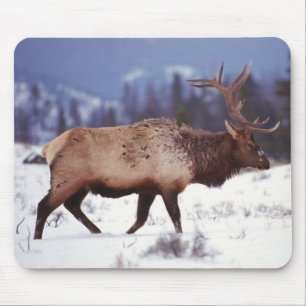 Deer Country Mouse Pad