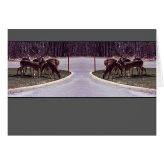 Deer crossing - Card