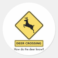 deer crossing