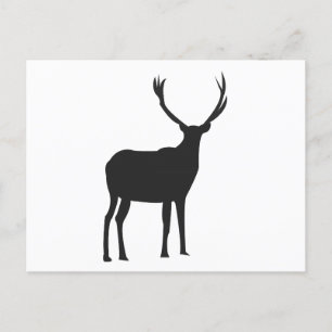 Deer Cute Antlers Postcard