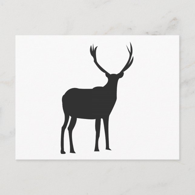 Deer Cute Antlers Postcard (Front)