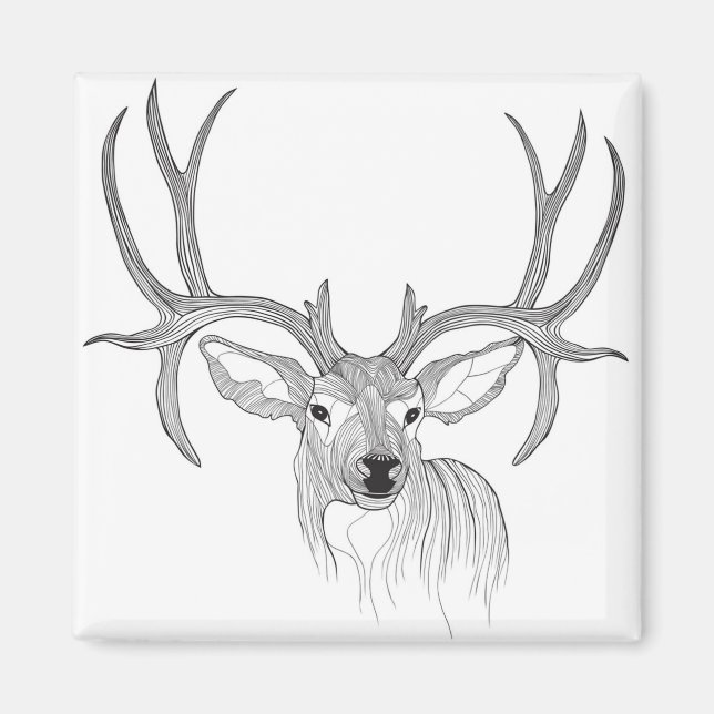 deer,deer hunting,mule deer,baby deer,white tail magnet (Front)