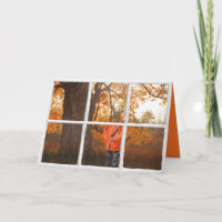 deer dressed as hunter in window and woods