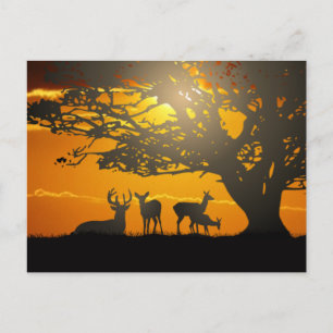Deer Family Postcard