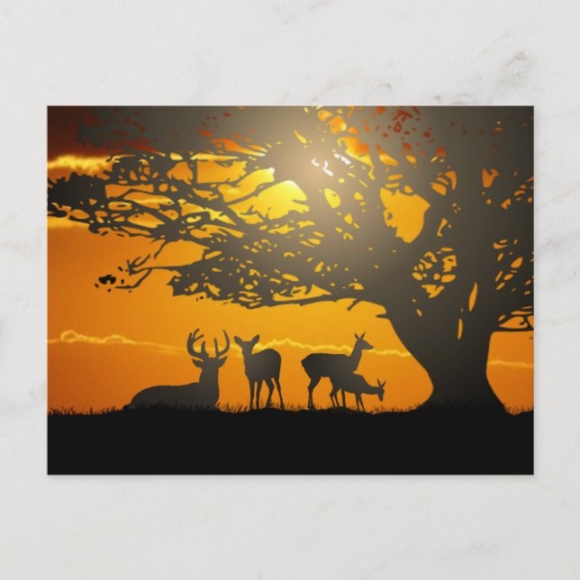 Deer Family Postcard (Front)