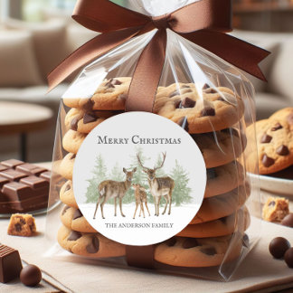 Deer Family Winter Snow Merry Christmas Classic Round Sticker