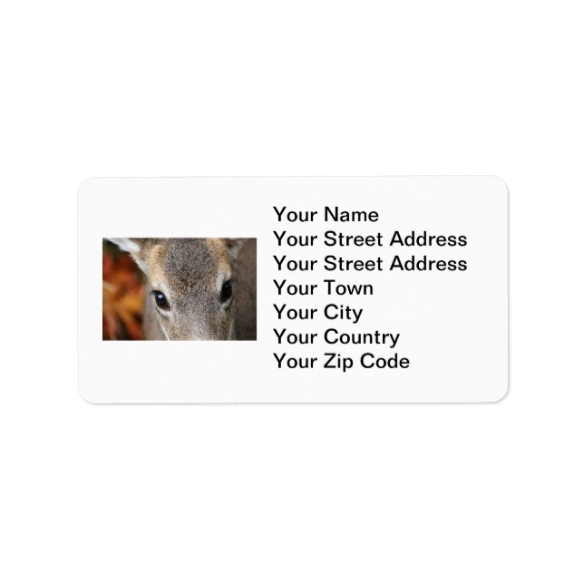 Deer Fawn Closeup Portrait Label (Front)