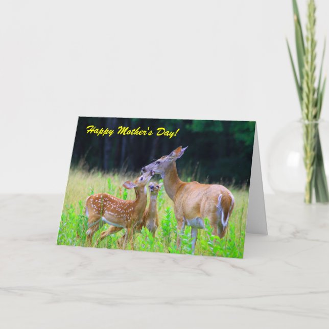 Deer Fawns Nursing, Happy Mother's Day! Card (Front)