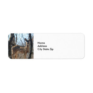 Deer Forest Autumn Return Address Label