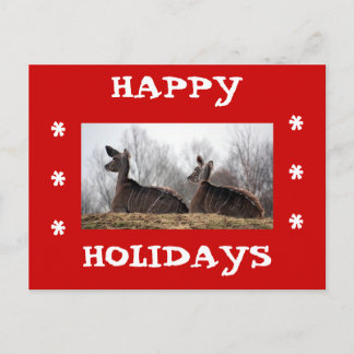 Deer Friend, Happy Holidays Holiday Postcard