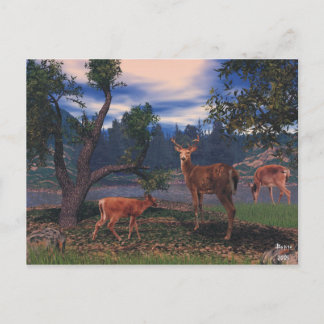 Deer Gathering Postcard
