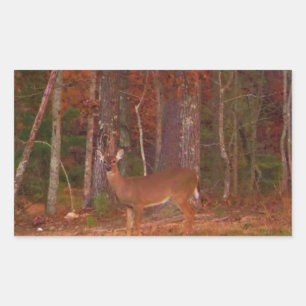 Deer , Green Grass red and Gold leaves Rectangular Sticker