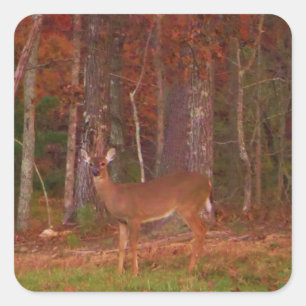 Deer , Green Grass red and Gold leaves Square Sticker