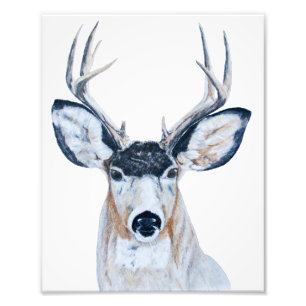 Deer Head in Pencil Photo Print