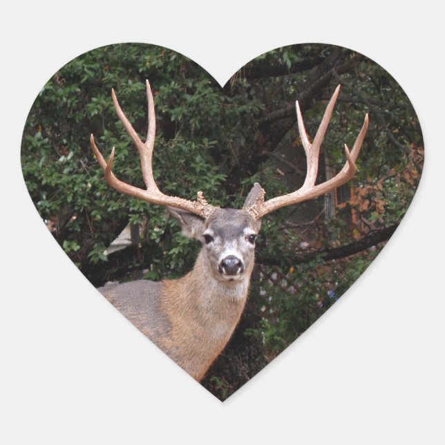 Deer Heart Sticker (Front)