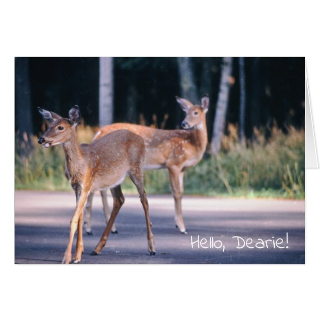 Deer, Hello Dearie (Front Horizontal)