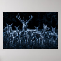 Deer Herd Night X-Ray
