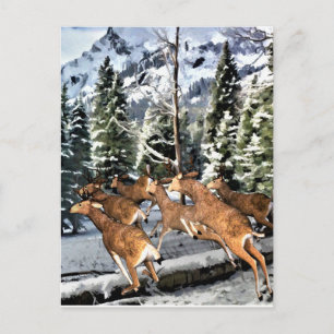 Deer Herd Running in Rocky Mountains Postcard