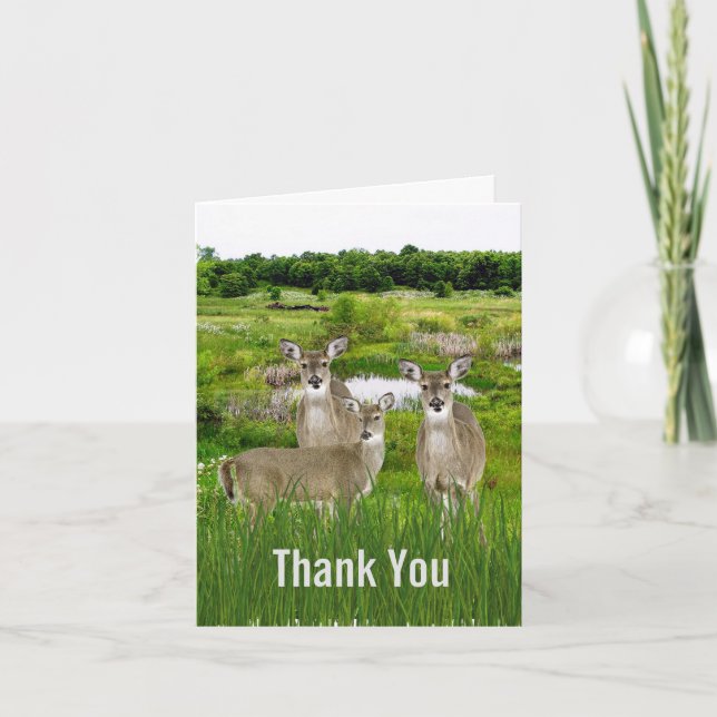 Deer Herd Wildlife/Nature Design for Him  Thank You Card (Front)