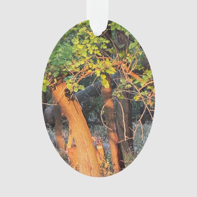Deer Hiding Behind Trees Ornament (Front)