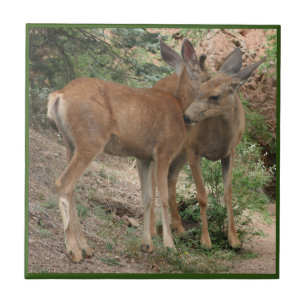 Deer Hugging Ceramic Tile