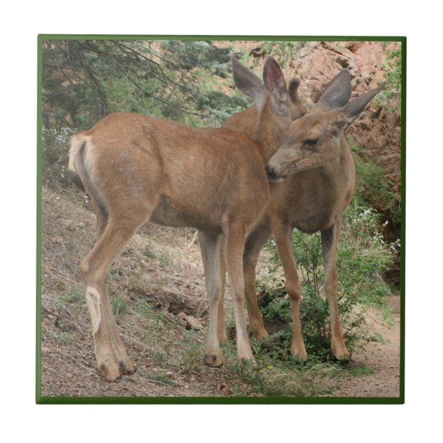 Deer Hugging Ceramic Tile (Front)