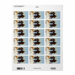 Deer Hunters, 1924 by Newell Convers Wyeth Label