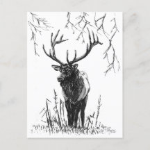 Deer hunting, holiday postcard