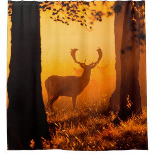 Deer in a danish forestdeer,autumn,beautiful,denma shower curtain