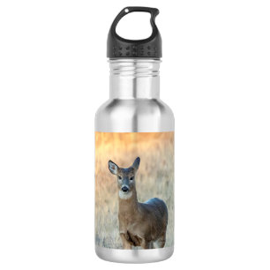 Deer in a field 532 ml water bottle