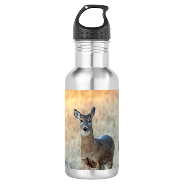 Deer in a field 532 ml water bottle (Front)