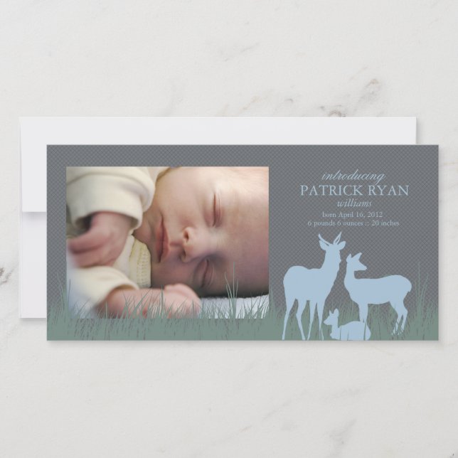 Deer in a Field Birth Announcement (Front)