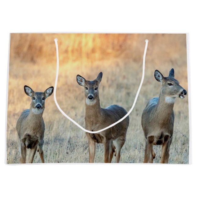 Deer in a field large gift bag (Front)