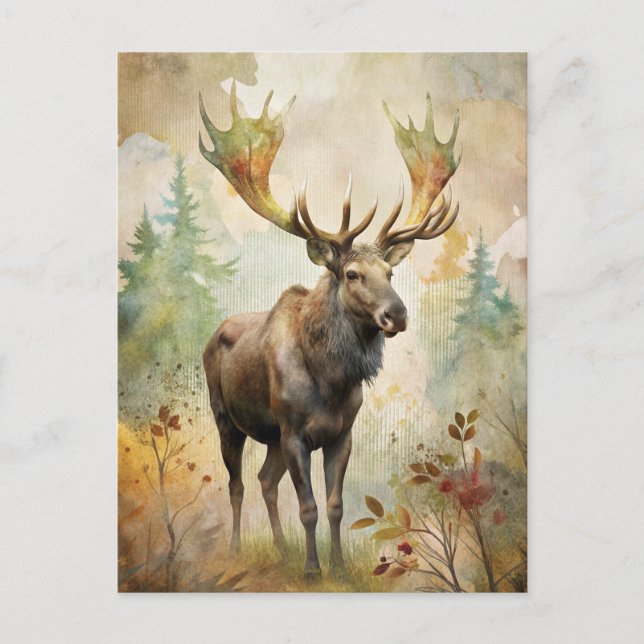 Deer in a Forest Postcard (Front)