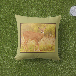 DEER IN FIELD LOOKING AT CAMERA CUSHION