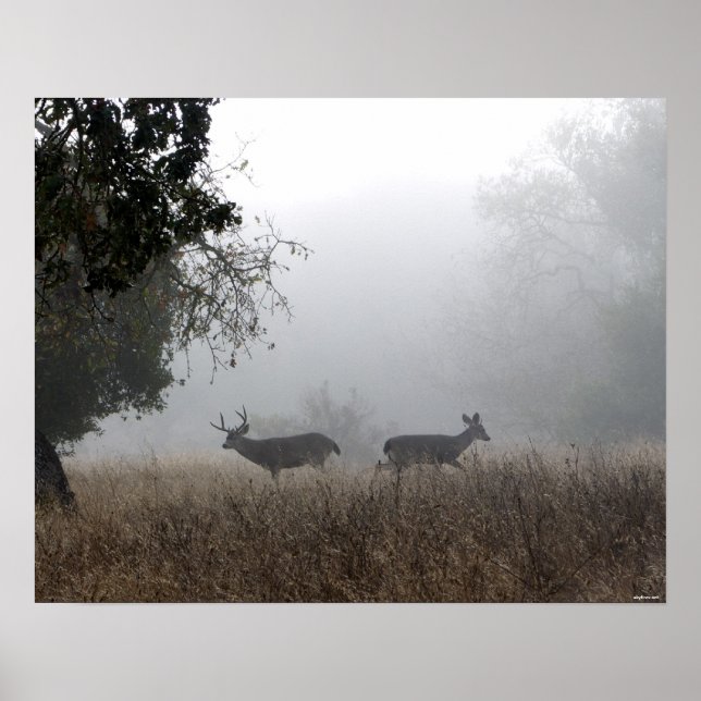 Deer in Fog Poster (Front)